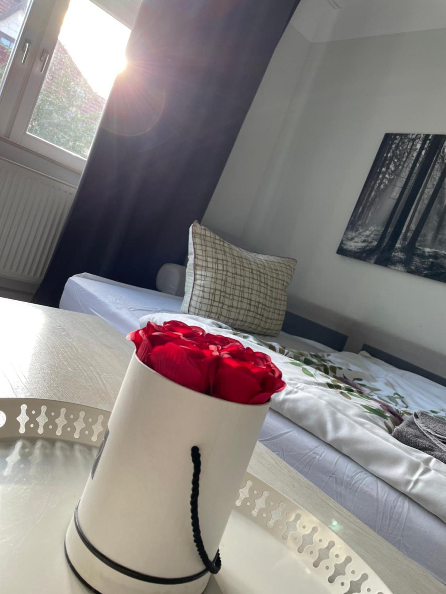 Gemuetliche Wohnung In Der Stadt 1 Arnstadt Buitenkant foto